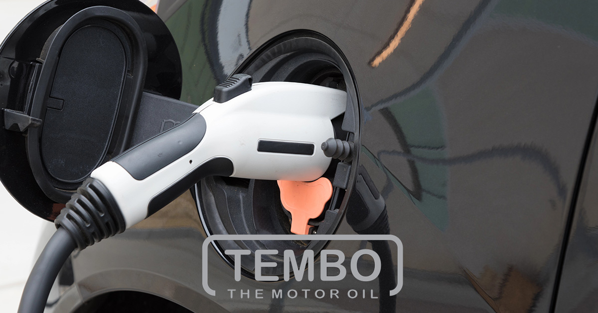 Brzi vs. spori punjači: Koji su bolji za privatnu i javnu upotrebu?