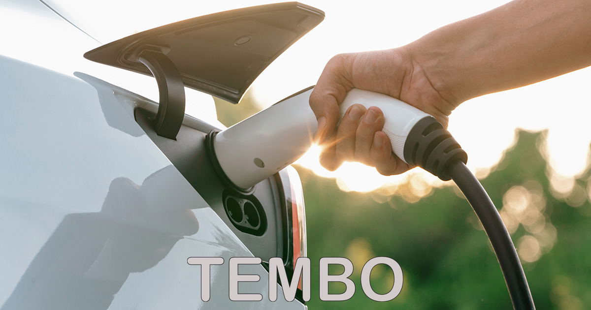 Javne punionice vs. kućni punjači – prednosti i mane